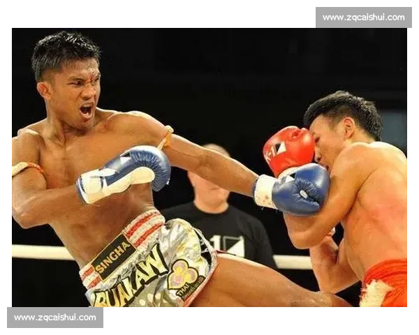 武林风巅峰对决西提猜迎战科尔谁主沉浮燃爆全场一战定王者之夜终